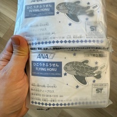 ANA 飛行機風船