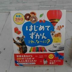  はじめてずかんこれ、な~に? 英語つき380の写真とことば 本　A12248の画像