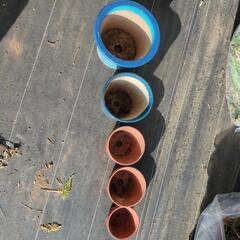 植木鉢の画像