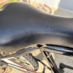 ２４インチ　自転車（ライトなし）の画像