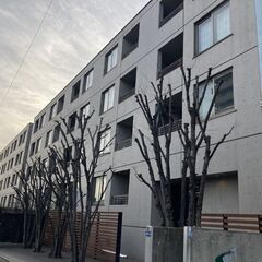 EO✨敷金ゼロ、礼金ゼロ、仲介手数料ゼロ💞ペット相談可⭐外…