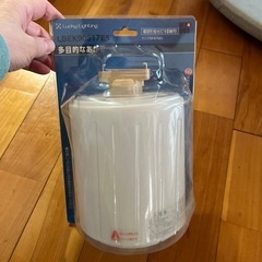 電球型蛍光灯