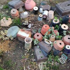【無料】使い古しの植木鉢いろいろ差し上げます（引き取り限定）の画像