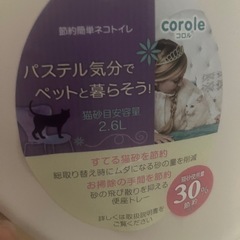 猫トイレの画像
