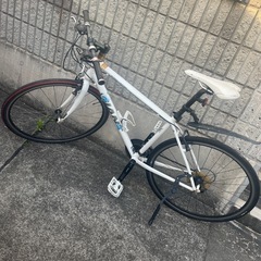 ✨GIANT白