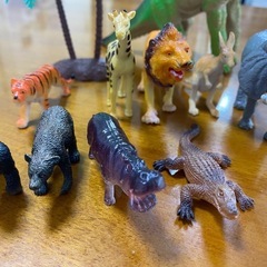 [決まりました］恐竜　動物フィギュア12体セットの画像