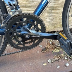 Trek ( トレック ) ロードバイク Domane ( ドマーネ ) AL 2 グロスミュルザンヌ ブルーの画像