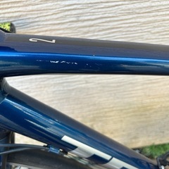 Trek ( トレック ) ロードバイク Domane ( ドマーネ ) AL 2 グロスミュルザンヌ ブルーの画像