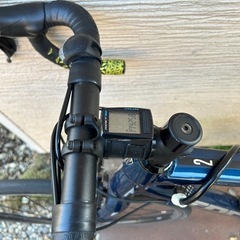 Trek ( トレック ) ロードバイク Domane ( ドマーネ ) AL 2 グロスミュルザンヌ ブルーの画像