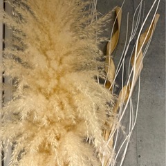 【4点セット／バラ売り可】ドライフラワー＆ウッドサイドテーブル（引取限定） の画像