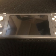 Nintendo switch lite本体(ACアダプター無し)