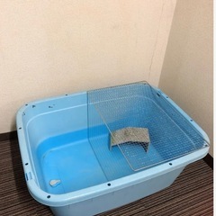 飼育セットの画像