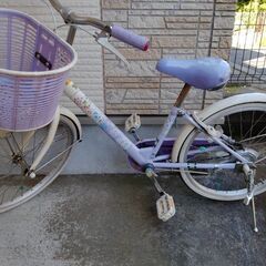 ブリヂストン エコパル　自転車　20インチの画像