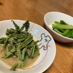 毎週限定2組！月山天然物朝採り山菜！の画像