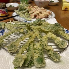 毎週限定2組！月山天然物朝採り山菜！の画像