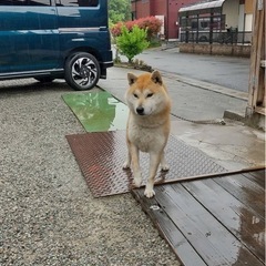 2歳の男の子
