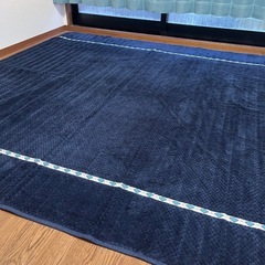ラグの画像