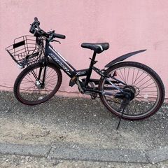 子供用自転車　FORTERA（フォルテラ） ZERO 22インチ...