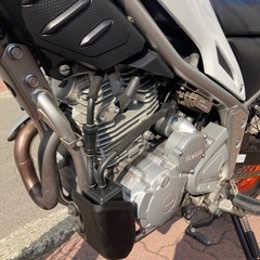 極美　
YAMAHA トリッカー 最終型の画像