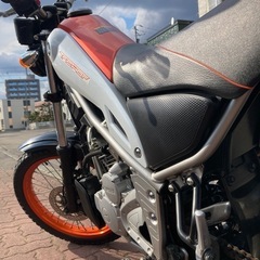 極美　
YAMAHA トリッカー 最終型の画像