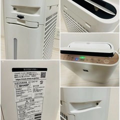 SHARP 加湿空気清浄機　KC-G40-W 2017年製の画像