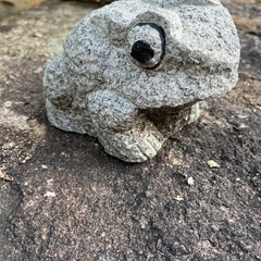石材　🐸かえるの置き物！　中！の画像