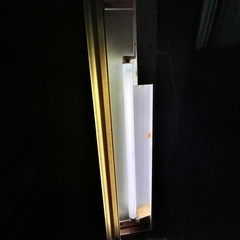 蛍光灯　《無料》