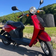 【売約済】美品 実働 BT新品 バリ溝 ホンダ AF61 トゥデイ 4スト 原付 バイク スクーター ワインレッドの画像