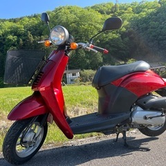 【New】美品 実働 BT新品 バリ溝 ホンダ AF61 トゥデ...