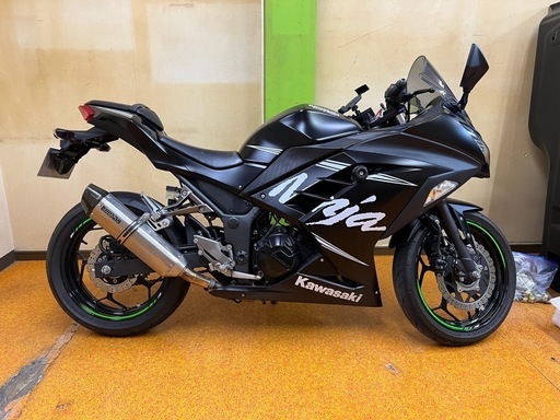 カワサキ　ニンジャ250 ウインターテストエディション　限定車