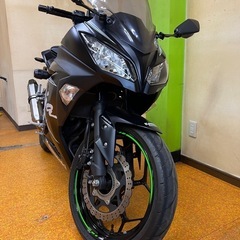 カワサキ　ニンジャ250 ウインターテストエディション　限定車の画像