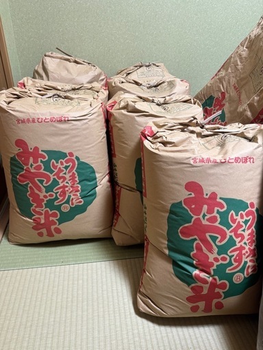 受付停止中】令和6年宮城県登米市産ひとめぼれ 玄米30kg
