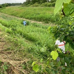 残り枠3人❗️6月〜8月除草工事！日給10,000円〜の画像