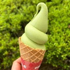 週末のお休みにお出かけ