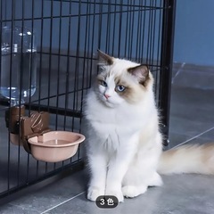 ペットウォーターディスペンサーの画像