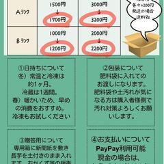 南部町産土付き長芋　2025春掘り　②の画像