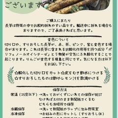 南部町産土付き長芋　2025春掘り　②の画像