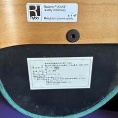 Balans Easy バランスイージー 正規品 ライトグリーン Usedの画像