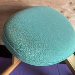 Balans Easy バランスイージー 正規品 ライトグリーン Usedの画像