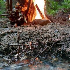 キャンプ友と…のんびり⛺️（低予算）