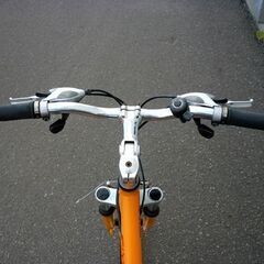 ルイガノ　20インチ　6段切替 ルイガノ J20 plus BAA 子供自転車 20インチ 6段変速 [J20 plus