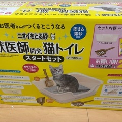 ベンガル　猫 - 猫