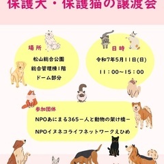 5/11(日)犬猫譲渡会のお知らせ【松山市】