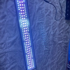 水槽ライト　75cm　の画像