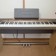 電子ピアノCasio Privia PX-110