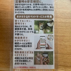 猫じゃらし　猫グッズ　ペットチャーム　キャットボールの画像