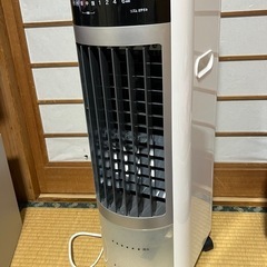 エスケイジャパン 冷風扇（マイコン式） SKJ-KS316R
