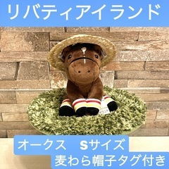 新品タグ付き　リバティアイランド　オークス　Sサイズ　麦わら帽子と芝生　3点の画像