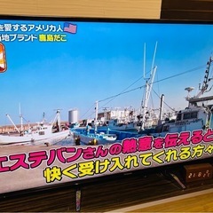 【超美品】パナソニック 55V型 液晶テレビ