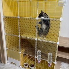 値下げ可　猫ゲージ　キャットゲージ